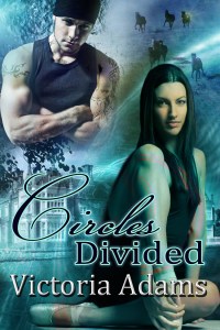 VA-CDivided-750x1125