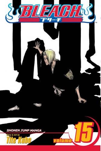 Bleach, Vol 15 cover